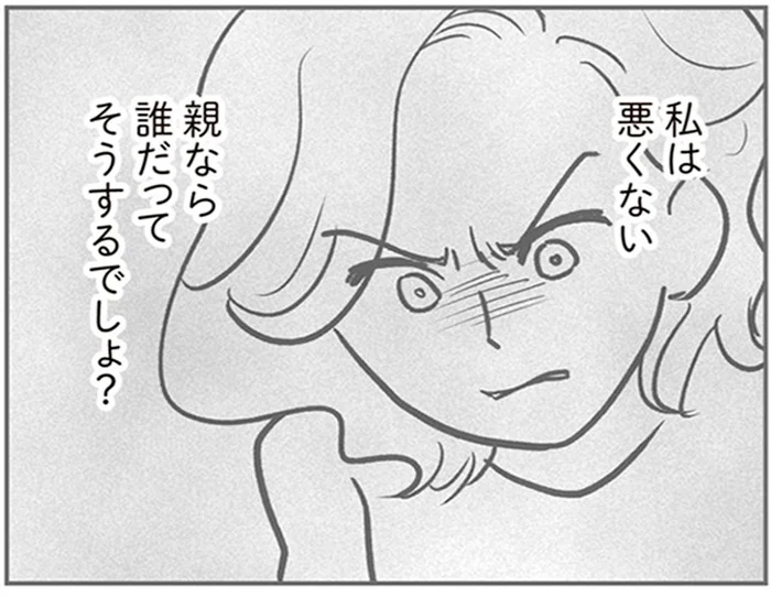 「親なら誰だってそうするでしょ？」ママ友の身勝手な行いでグループはバラバラに／犯人は私だけが知っている（25）