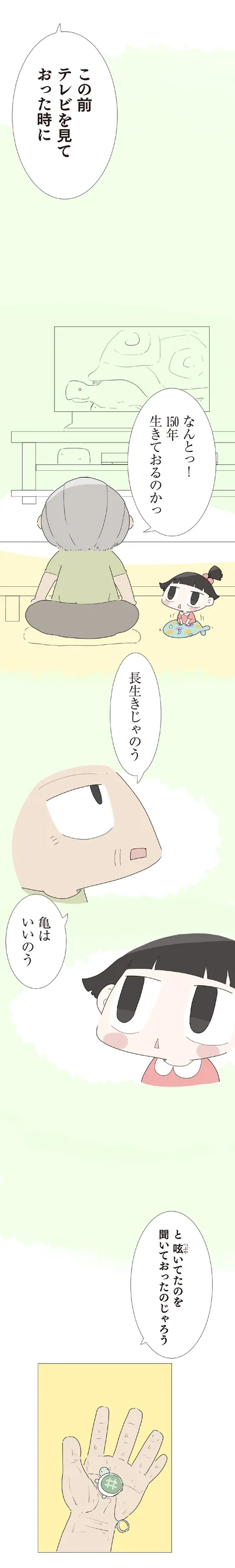 亀はいいのう