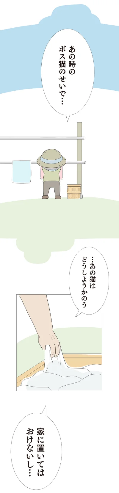 …あの猫はどうしようかのう