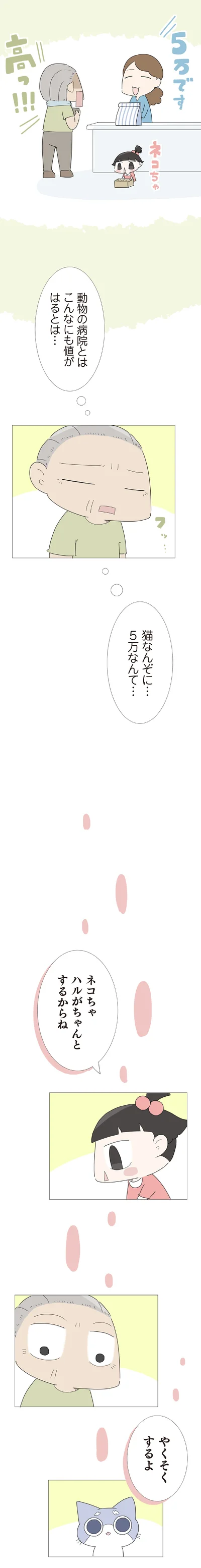 猫なんぞに…5万なんて…