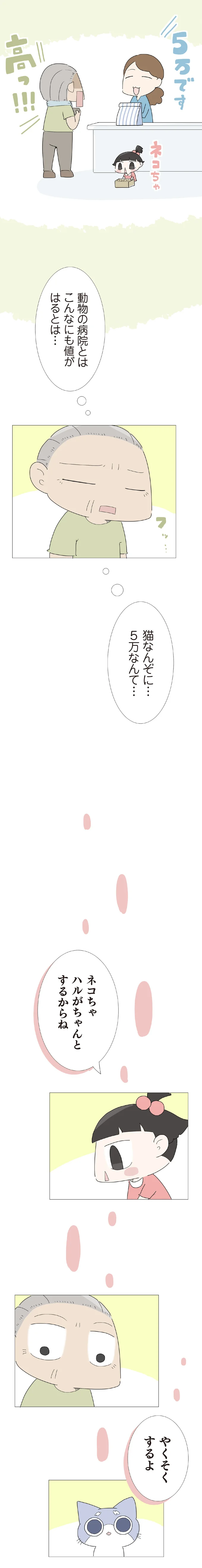 猫なんぞに…5万なんて…