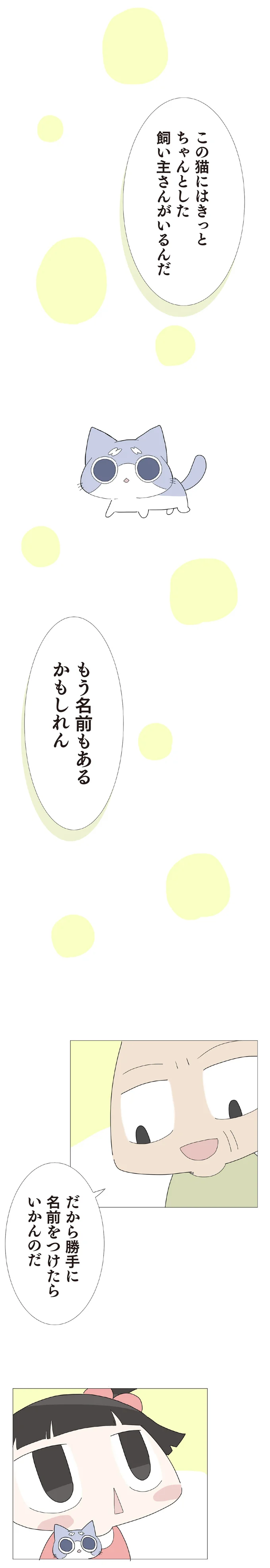 この猫にはきっとちゃんとした飼い主さんがいるんだ