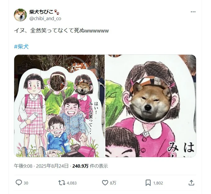 記念撮影に全然笑っていない犬▶旅行の思い出といえば…（⇒次へ）