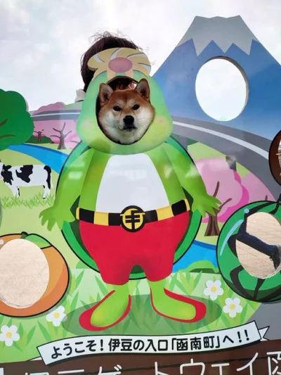 カメラ目線いただきました！▶ちょっと得意げなちびこちゃん（⇒次へ）