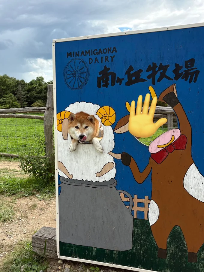 羊を内側から食べてしまった感のある1枚▶カチューシャには文句を言いたげなちびこちゃん（⇒次へ）