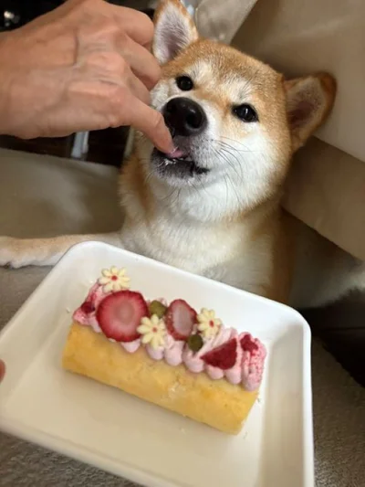 お誕生日おめでとう♪▶デコレーションがかわいいケーキ（⇒次へ）