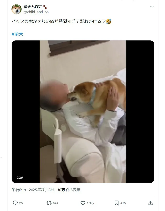 熱烈なおかえりの儀に溺れかけるお父さん▶大喜びのちびこちゃん（⇒次へ）