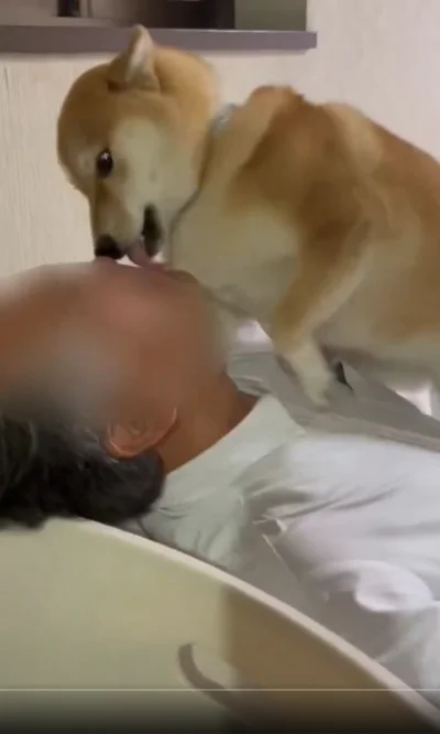 口元に集中！▶お父さんもうれしい、ちびこちゃんの歓迎（⇒次へ）