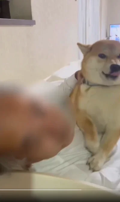 お父さんも思わず笑顔！ちびこちゃんの熱烈歓迎▶まだまだ続くおかえりの儀（⇒次へ）