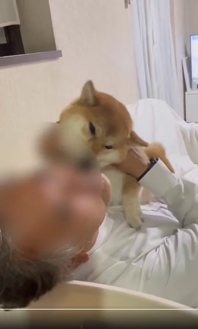 もう許して～！（嬉）▶仕事の疲れも吹き飛ぶ！？（⇒次へ）