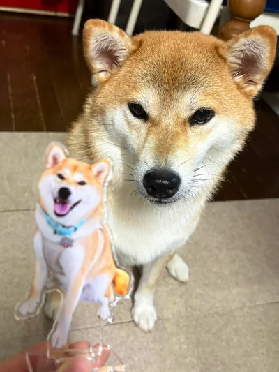 それは誰ですか！？▶噴水とちびこちゃん（⇒次へ）