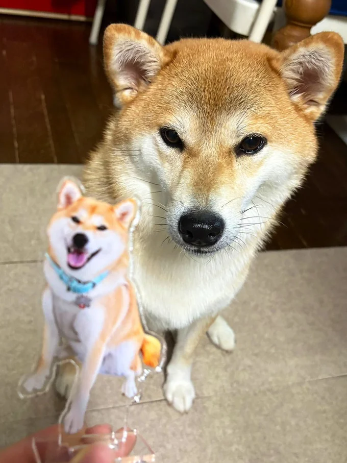 それは誰ですか！？▶噴水とちびこちゃん（⇒次へ）