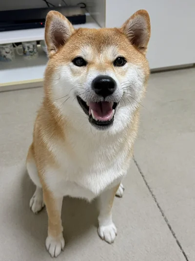 かわいいちびこちゃん▶リラックスするちびこちゃん（⇒次へ）