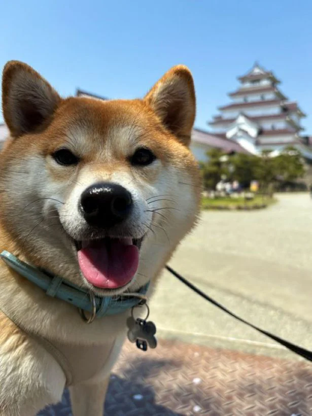 お出かけ日和♪▶カヌーに挑戦するちびこちゃん（⇒次へ）