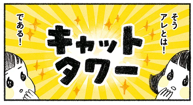 数週間頑張って組み立てたキャットタワー。猫は喜んでくれるかな？／茶トラのやっちゃんとちーちゃん（2）