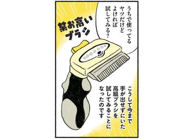 手ぐししか許してくれない愛猫。高級ブラシを試してみたら!?／茶トラのやっちゃんとちーちゃん（3）