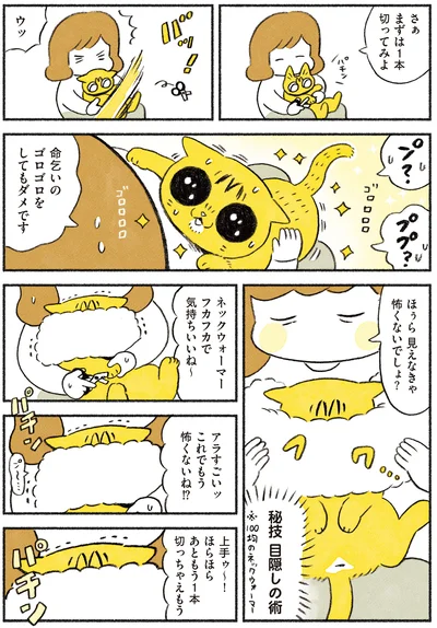 見えなきゃ怖くないでしょ？