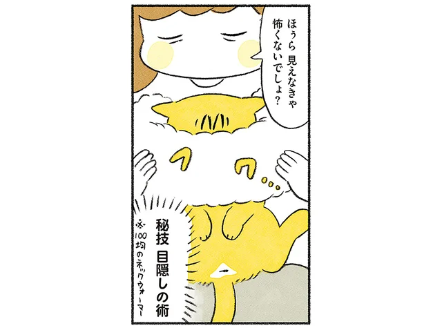 秘技・目隠しの術！ 爪切りが大の苦手な愛猫の決死の抵抗／茶トラのやっちゃんとちーちゃん（4）