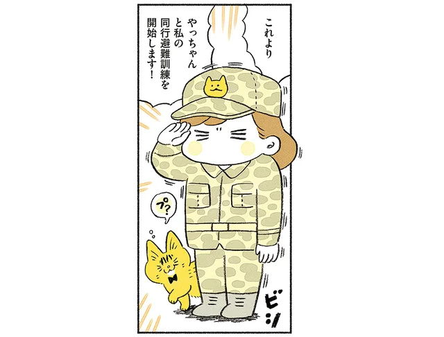 愛猫との同行避難訓練開始！ しかし難航して「普段のトレーニング」が必要と感じました／茶トラのやっちゃんとちーちゃん（6）