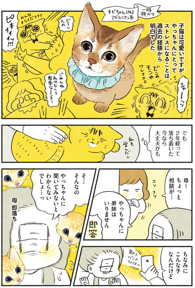 落ち着いた今なら大丈夫かも