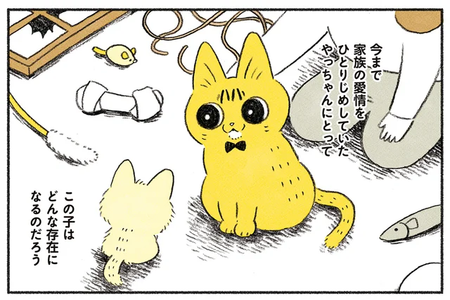 家族の愛情を独り占めしていた猫。新米猫が来たらどう反応するだろう？／茶トラのやっちゃんとちーちゃん（8）