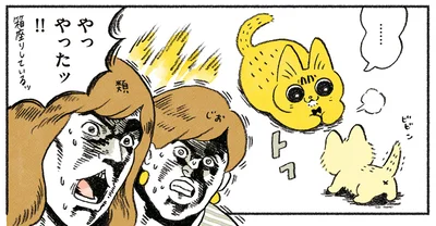 先住猫も歓迎!?