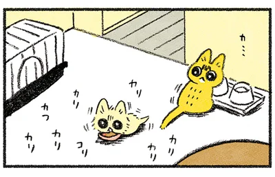 先住猫が振り返り…