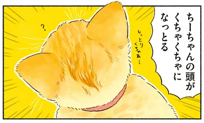 頭がしっとりしてる!?