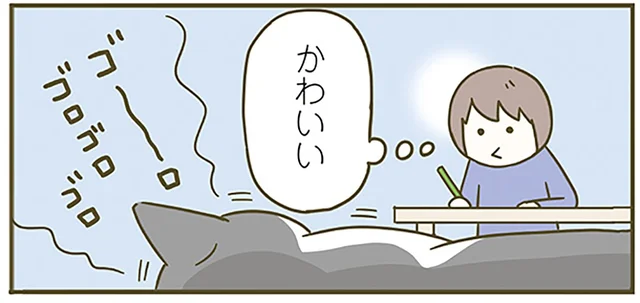 「かわいい」と言われるのが大好きな猫。飼い主が提唱する「ある説」