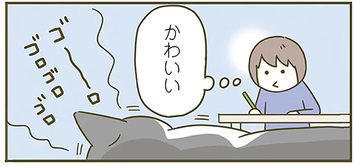 「かわいい」と言われるのが大好きな猫。飼い主が提唱する「ある説」