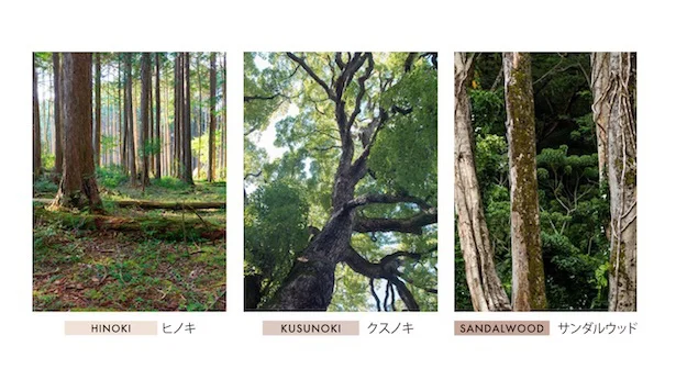 「kinoka」3種の香り