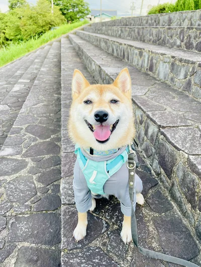 おはようございます！▶風流ですね（⇒次へ）