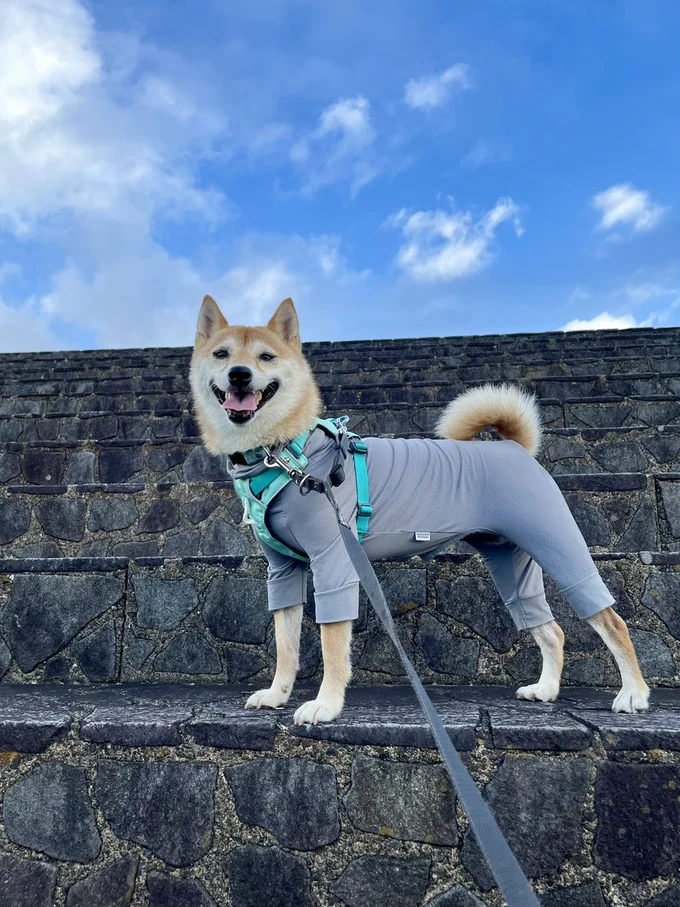 青空とはなこちゃん▶全然気にしてないよ？（⇒次へ）