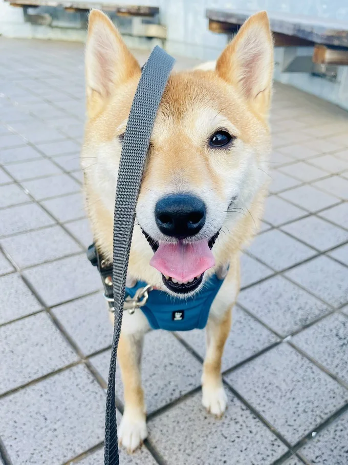 ちっちゃいことは気にならないタイプ▶ダッシュ！（⇒次へ）