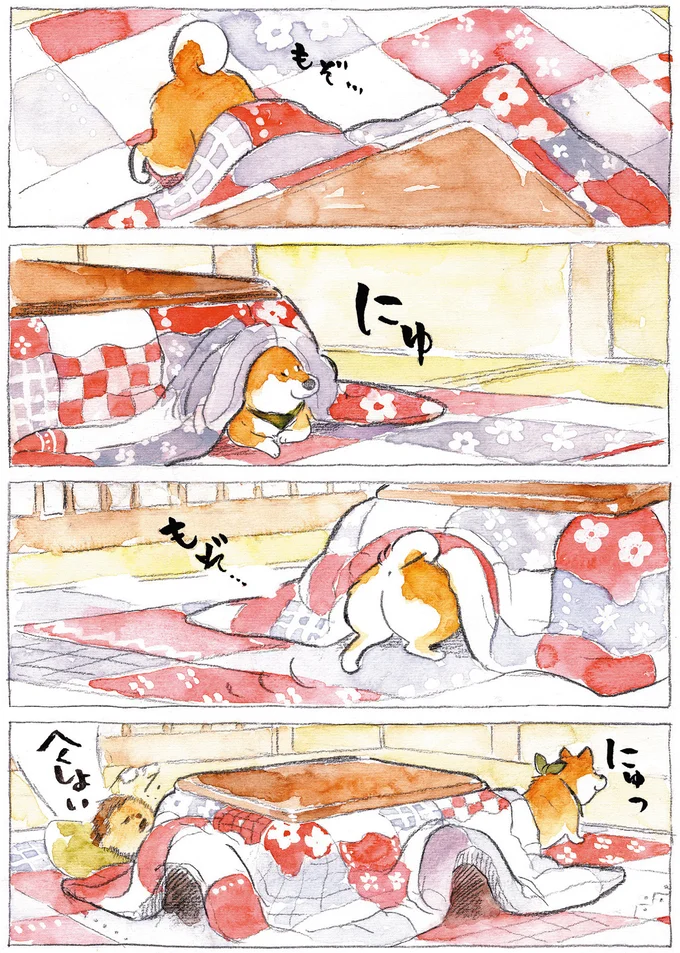 『柴犬ぽんちゃん、今日もわが道を行く』より