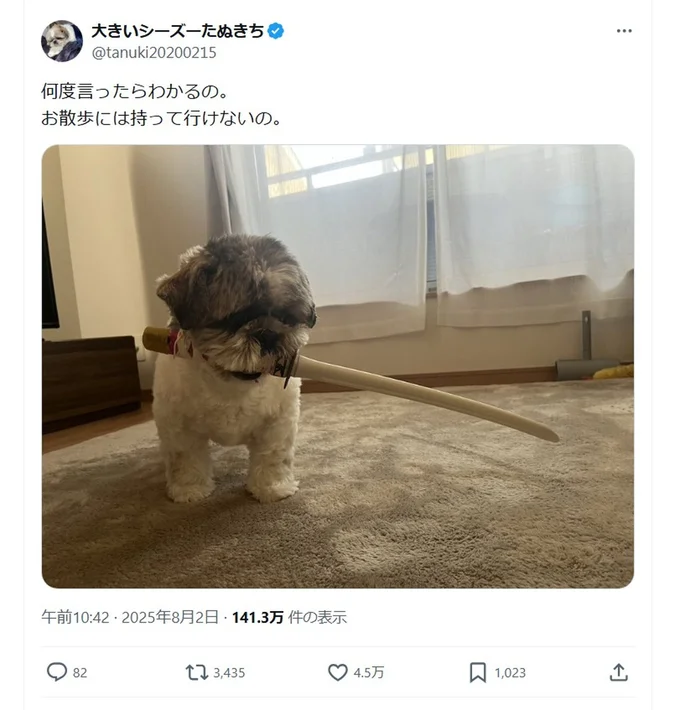 お散歩には持っていけないの▶ワンちゃんが散歩に持っていきたいものは…（⇒次へ）