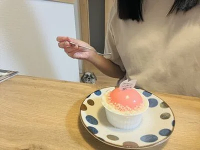 しっかり見ています▶熱ーい視線を感じますね（⇒次へ）