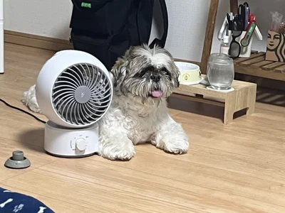 暑い！▶冷却プレートもあるのですが…（⇒次へ）