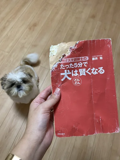 たった5分で犬は賢くなる▶お手…していい？（⇒次へ）