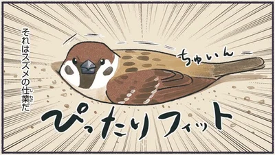 ぴったりフィット