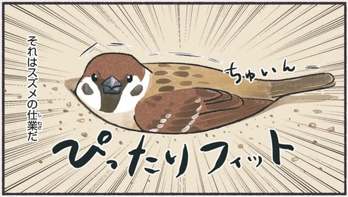 地面の穴にスズメがぴったりフィット！？　集団でする次の行動は？／意外と知らない鳥の生活（1）