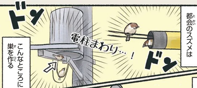 思いがけない場所からスズメがひょっこり！都会暮らしは大変そう