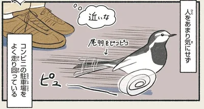 近いな