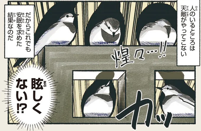 眩しくない!?