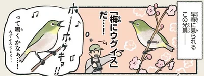 早春に見られるこの光景