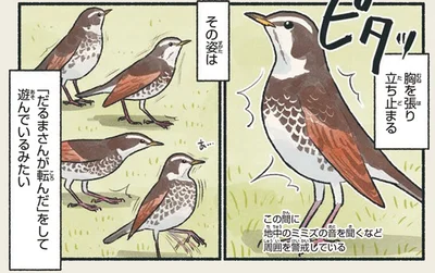 「だるまさんが転んだ」をして遊んでいるみたい