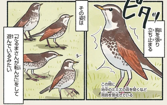 「だるまさんが転んだ」をして遊んでいるみたい