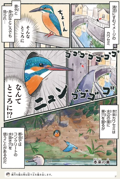 コンクリートの水抜き穴を使うことがあるのだ