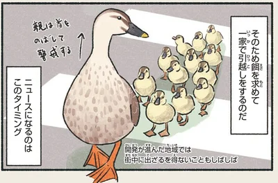 一家で引越しをするのだ