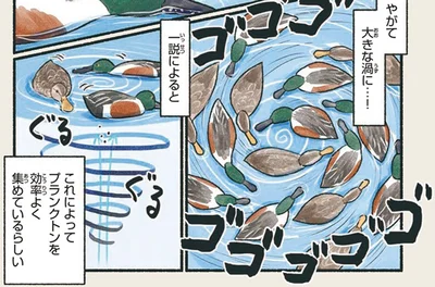 やがて大きな渦に…！